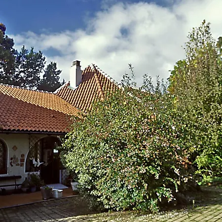 Penny's Garden