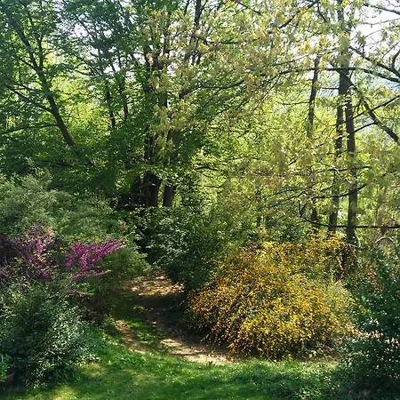Bed and Breakfast Penny's Garden Fiano (Piedmont)