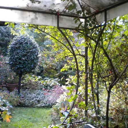 Penny's Garden